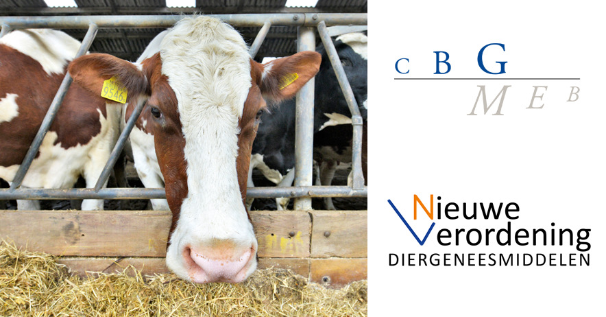verordening-diergeneesmiddelen-koe-rutgers-mechanisatie-bedum