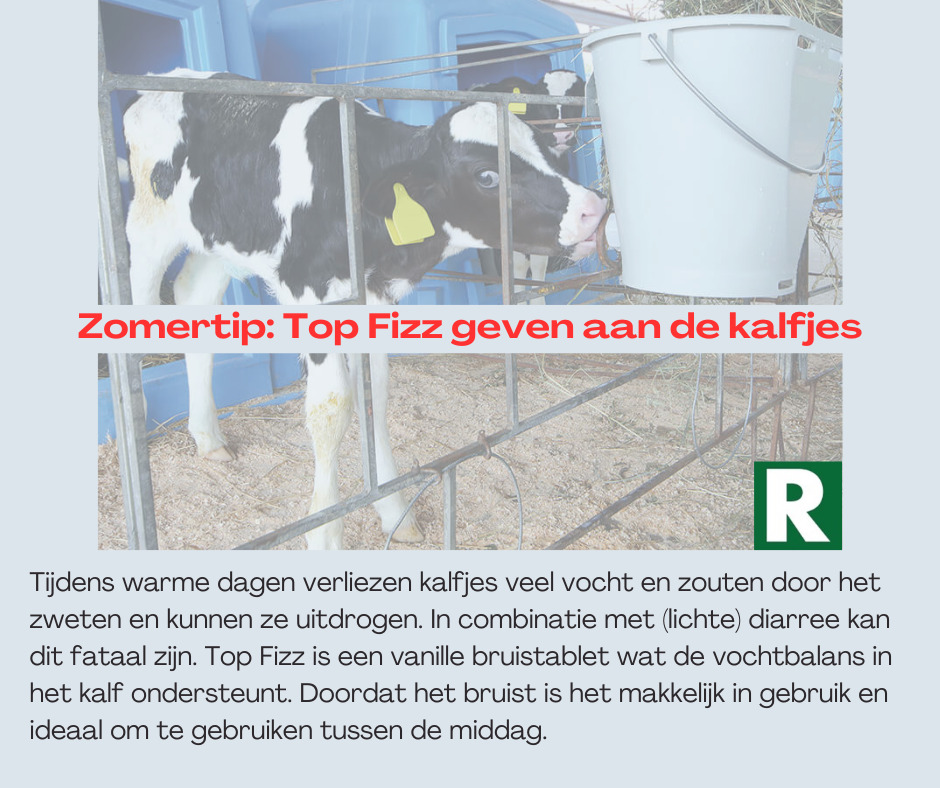Tijdens warme dagen verliezen kalfjes veel vocht en zouten door het zweten en kunnen ze uitdrogen. In combinatie met (lichte) diarree kan dit fataal zijn Top Fizz is een vanille bruistablet (1) Top Fizz bruistablet
